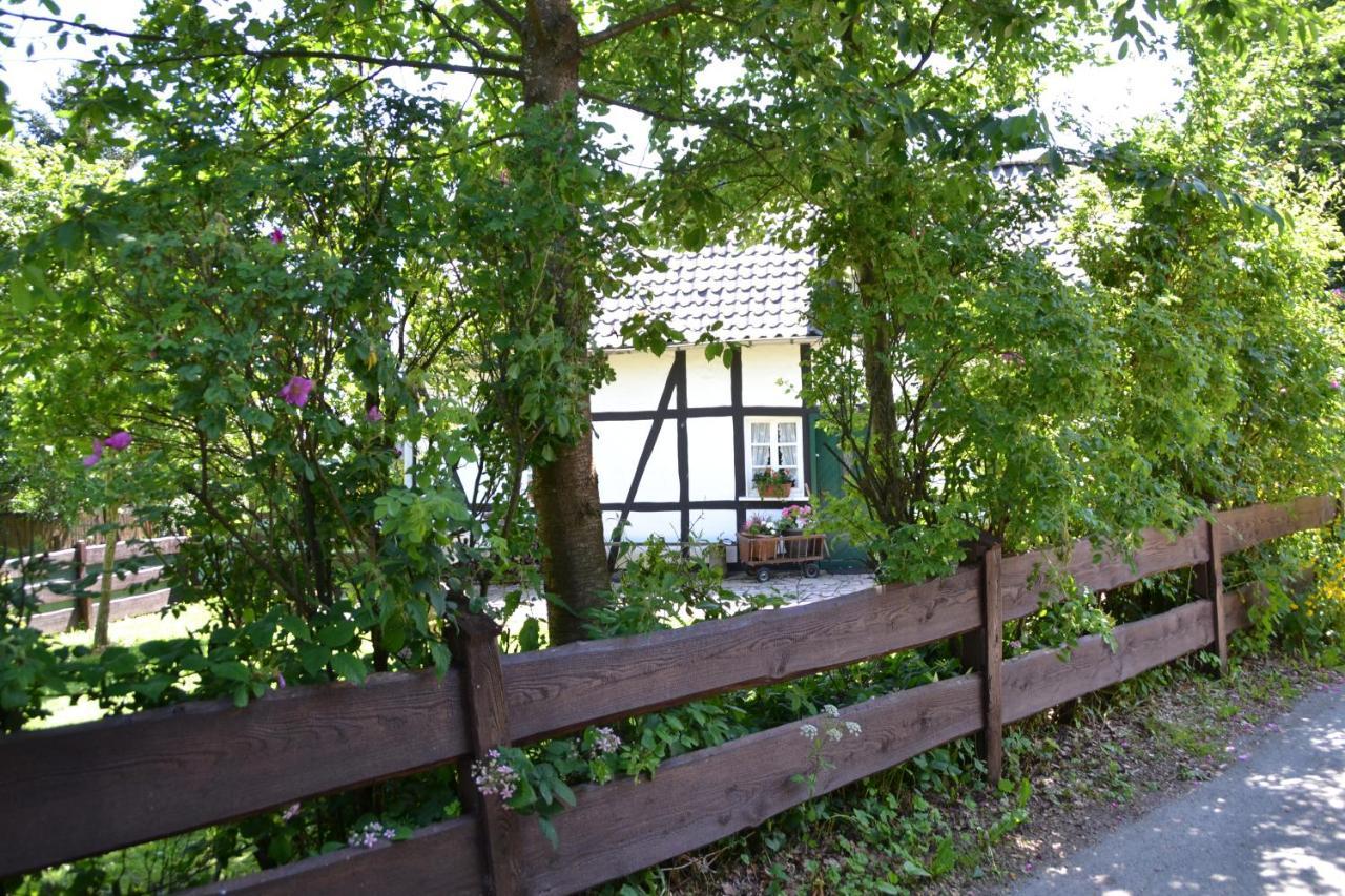 Eifelhaus Paula Villa Monschau Esterno foto